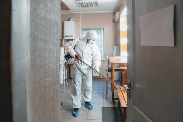 Best Emergency Mold Remediation  in USA